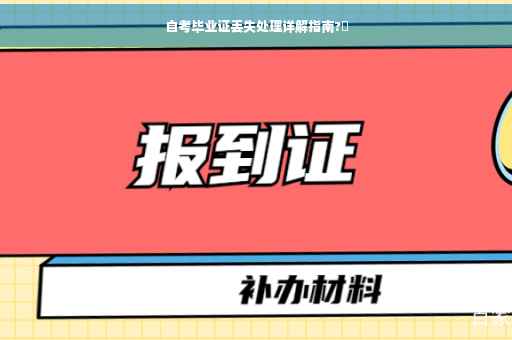 自考毕业证丢失处理详解指南?✨