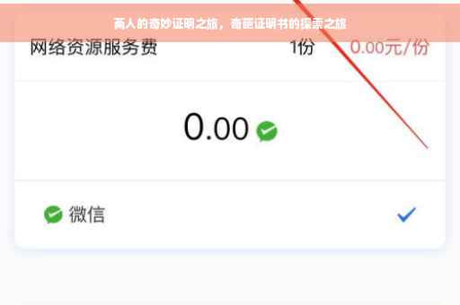 两人的奇妙证明之旅，奇葩证明书的探索之旅