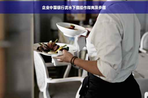 企业中国银行流水下载操作指南及步骤