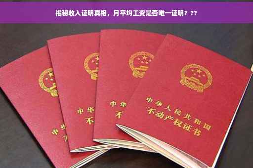 揭秘收入证明真相，月平均工资是否唯一证明？??