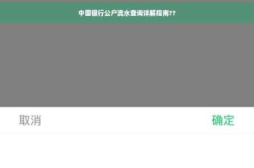 中国银行公户流水查询详解指南??