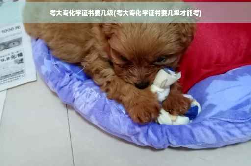 考大专化学证书要几级(考大专化学证书要几级才能考)