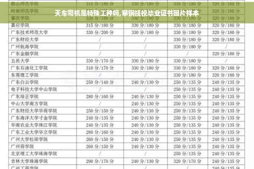 天车司机是特殊工种吗,攀钢技校毕业证书图片样本