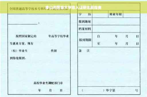 唐山市民族大学收入证明详解指南
