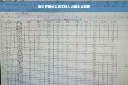 集团有限公司职工收入证明全面解析