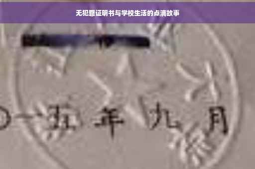 无犯罪证明书与学校生活的点滴故事