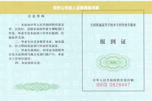 劳务公司收入证明模板详解