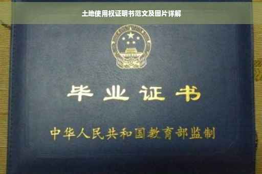 土地使用权证明书范文及图片详解