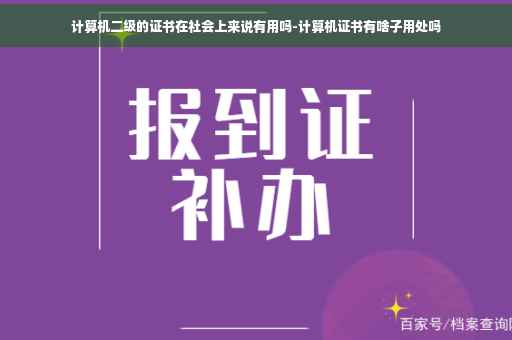 计算机二级的证书在社会上来说有用吗-计算机证书有啥子用处吗