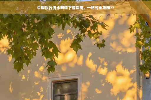 中国银行流水明细下载指南，一站式全攻略??