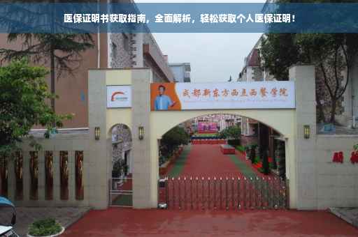 医保证明书获取指南，全面解析，轻松获取个人医保证明！