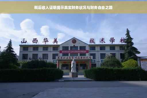 税后收入证明揭示真实财务状况与财务自由之路