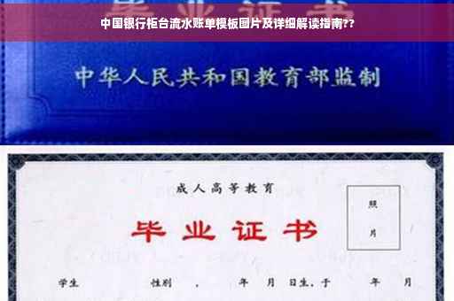 中国银行柜台流水账单模板图片及详细解读指南??