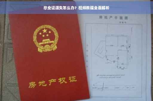 毕业证遗失怎么办？视频教程全面解析