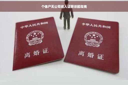 个体户无公司收入证明详解指南