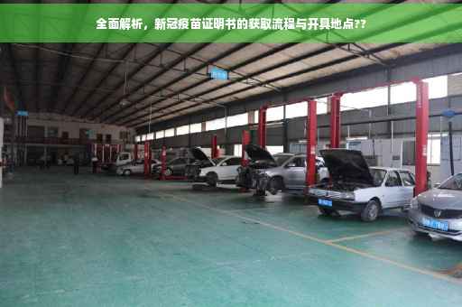全面解析，新冠疫苗证明书的获取流程与开具地点??