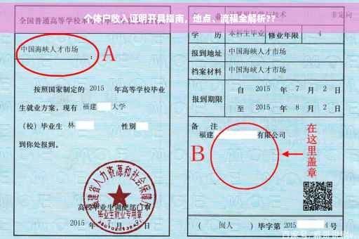 个体户收入证明开具指南，地点、流程全解析??