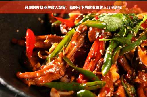 合肥肥东毕业生收入观察，新时代下的就业与收入状况透视