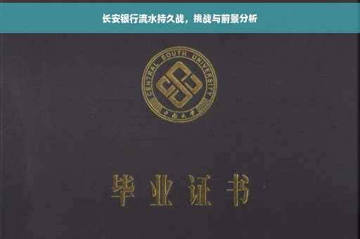 长安银行流水持久战，挑战与前景分析