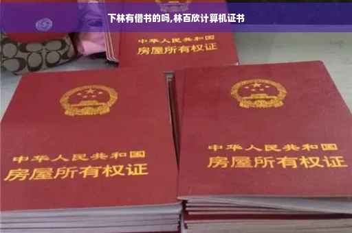 下林有借书的吗,林百欣计算机证书