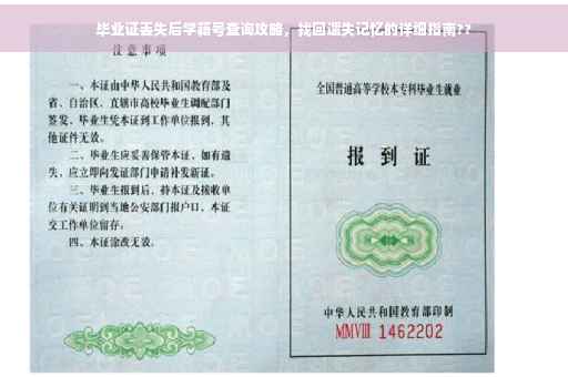毕业证丢失后学籍号查询攻略，找回遗失记忆的详细指南??