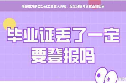 揭秘南方航空公司工资收入真相，深度洞察与真实面貌探索