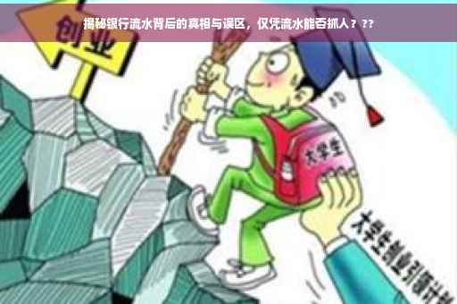 揭秘银行流水背后的真相与误区，仅凭流水能否抓人？??