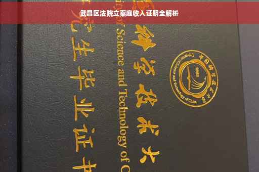 武昌区法院立案庭收入证明全解析