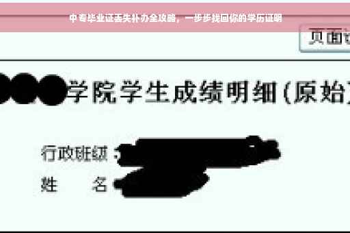 中专毕业证丢失补办全攻略，一步步找回你的学历证明