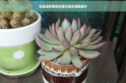 毕业证的真实价值与丢失风险探讨