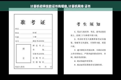 计算机初级技能证书有哪些,计算机网络 证书
