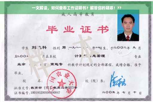 一文解读，如何查看工作证明书？解答你的疑惑！??