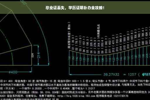 毕业证丢失，学历证明补办全攻略！