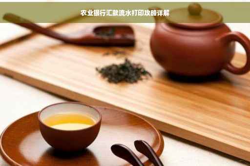 农业银行汇款流水打印攻略详解