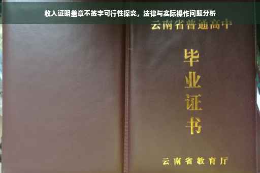 收入证明盖章不签字可行性探究，法律与实际操作问题分析