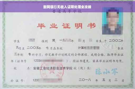 新网银行无收入证明处理全攻略