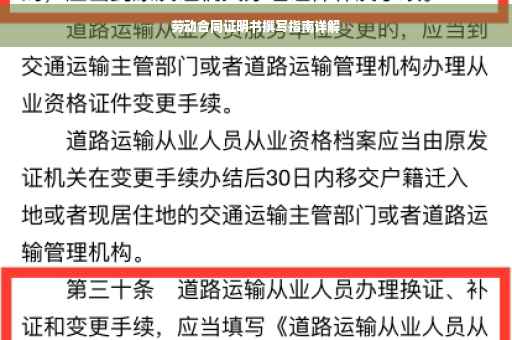 劳动合同证明书撰写指南详解