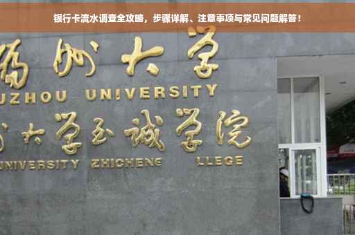 银行卡流水调查全攻略，步骤详解、注意事项与常见问题解答！