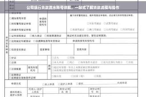 公司银行贷款流水账号详解，一站式了解贷款流程与操作