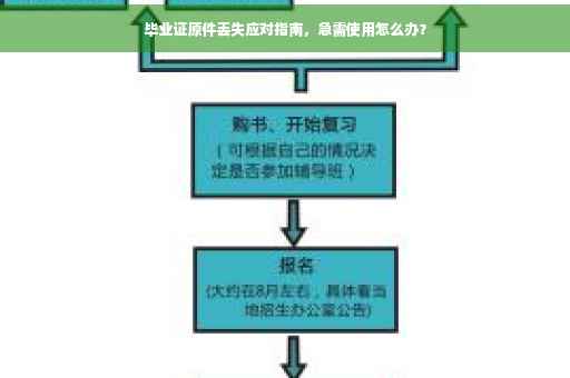 毕业证原件丢失应对指南，急需使用怎么办？