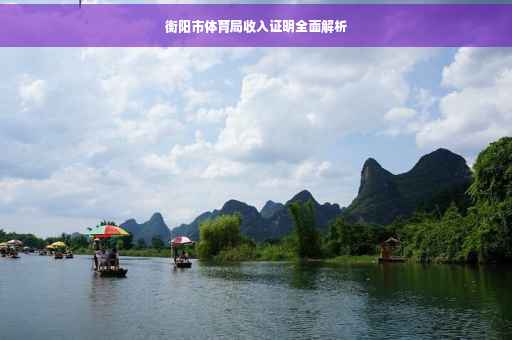 衡阳市体育局收入证明全面解析