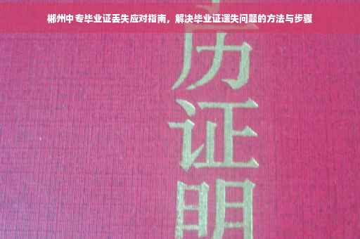 郴州中专毕业证丢失应对指南，解决毕业证遗失问题的方法与步骤