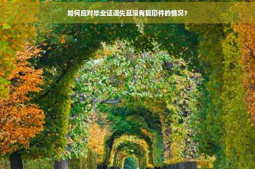 如何应对毕业证遗失且没有复印件的情况？