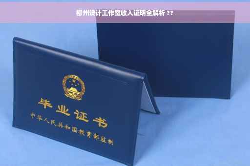 柳州设计工作室收入证明全解析 ??