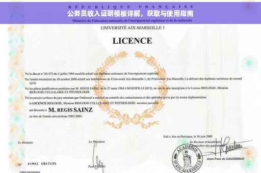 公务员收入证明模板详解，获取与使用指南