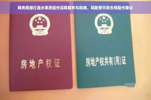 税务局银行流水更改操作深度解析与指南，风险警示及合规操作建议