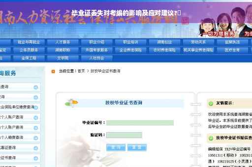 毕业证丢失对考编的影响及应对建议?✨