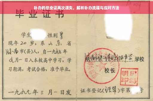 补办的毕业证再次遗失，解析补办流程与应对方法