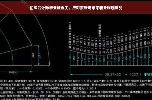 初级会计师毕业证丢失，应对策略与未来职业规划挑战