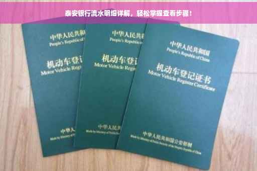 泰安银行流水明细详解，轻松掌握查看步骤！